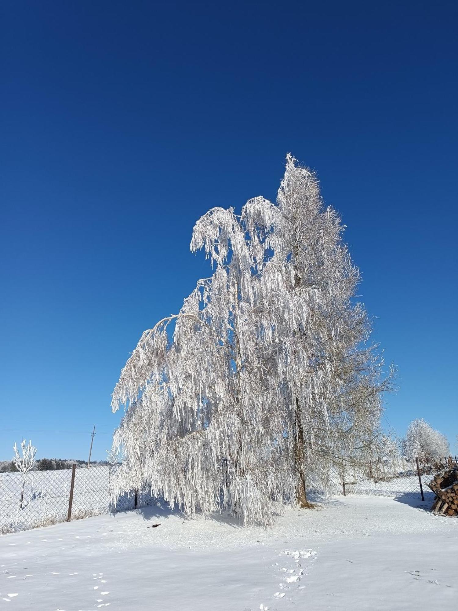 Detrichovka * Detrichov Nad Bystrici